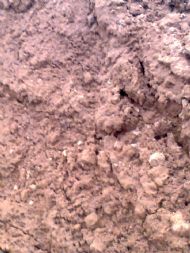 Red Building sand